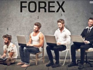 forex-traders